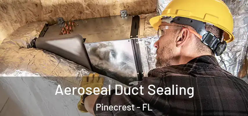 Aeroseal Duct Sealing Pinecrest - FL